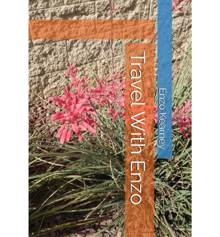 Travel with Enzo Book