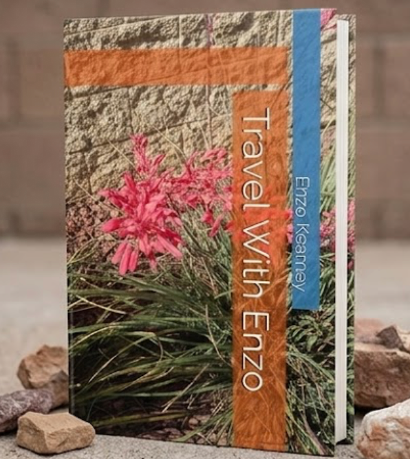 Travel with Enzo Book