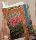 Travel with Enzo Book